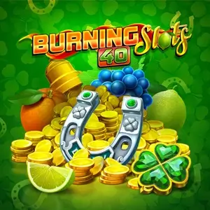 game of Burning Slots 40